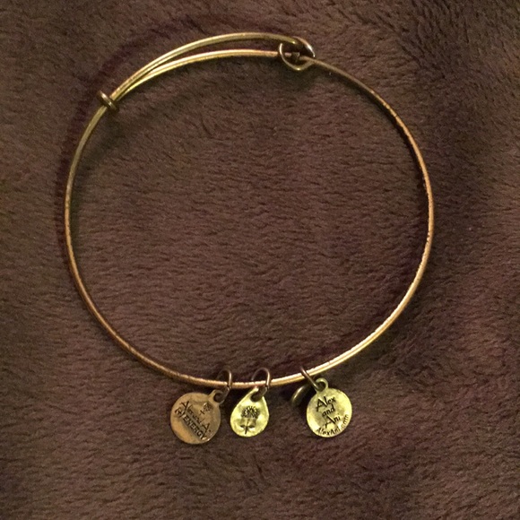 Alex and Ani Jewelry - Alex and Ani bracelet